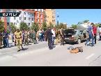  العرب اليوم - أربعة أسود تٌصاب بفيروس كورونا في برشلونة