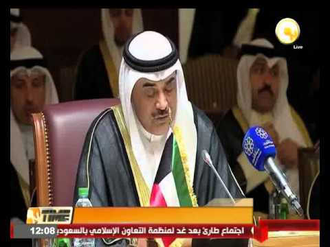 وفد الحكومة اليمنية يؤكد ضرورة تنفيذ قرارات الشرعية الدولية