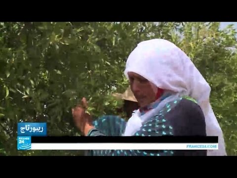شاهد معاناة نساء الريف التونسي وكفاحهن