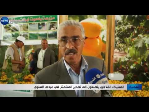 شاهد  الفلاحون يتطلعون إلى تصدير المشمش في عيده السنوي