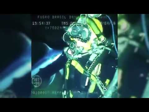 شاهد لحظة هجوم سمكة ضخمة على غواص أميركي