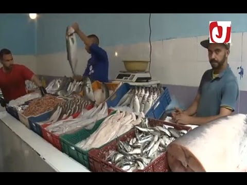 بالفيديو المغربيون يشتكون من غلاء أسعار السمك في شهر رمضان