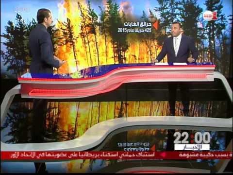 شاهد المناطق الشمالية الأكثر تضررًا من آفة الحرائق