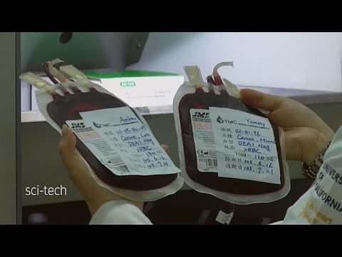 افتتاح أول بنك دم خاص بالحيوانات في تايوان