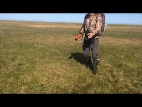 بالفيديو لقطات غريبة لقطعة أرض تتحرك في القطب الشمالي