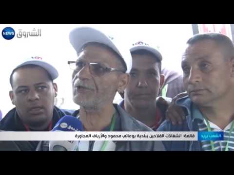 شاهد انشغالات الفلاحين في بلدية بوعاتي محمود والأرياف المجاورة