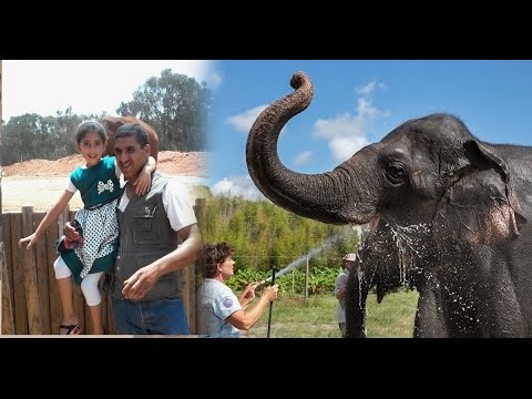 شاهد  أب الطفلة التي قتلها فيل حديقة الرباط يكشف حقائق مثيرة و جديدة