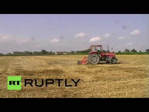 بالفيديو فنان إيطالي يرسم لوحة رائعة لأولمبياد ريو بجرار زراعي