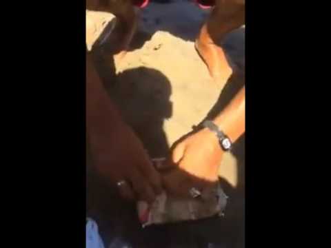 شاهد ماذا وجد سباح في شاطئ البحر