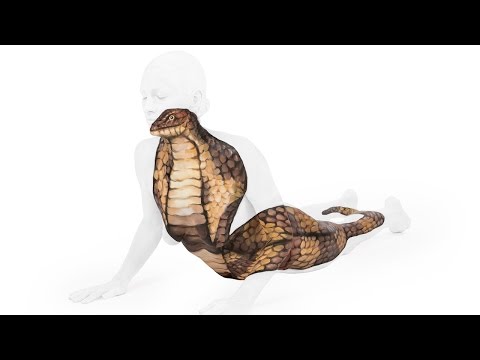 بالفيديو   فنانة تحول أجساد البشر إلى أشكال حيوانية