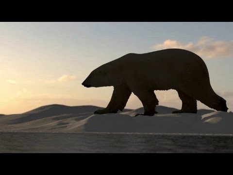 بالفيديو 24000 نوع حيواني ونباتي مهددة بالانقراض