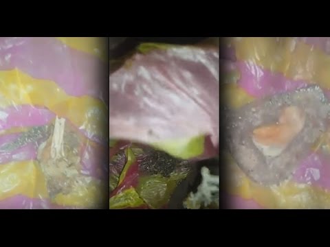 بالفيديو العثور على نوع جديد من أنواع السحر