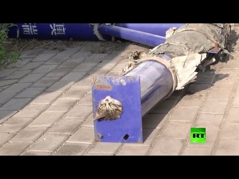 بالفيديو مشاهد من عملية إنقاذ قطة علقت في أنبوب صلب في الصين