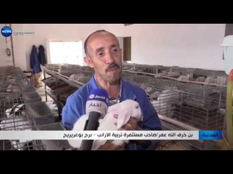 شاهد تربية الأرانب المغامرة المربحة