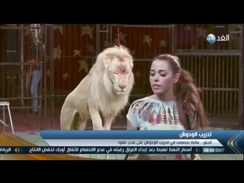 شاهد محاسن الحلو تقتحم قفص الأسود