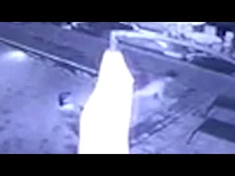 تمساح يهاجم شابًا وفتاة داخل حمام سباحة