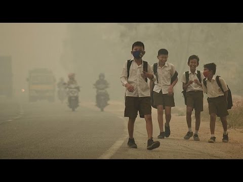 بالفيديو 300 مليون طفل حول العالم يستنشقون هواءً سامًا