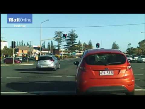 شاهد هذا ما فعله عنكبوت بعدما حاول السائق التخلّص منه