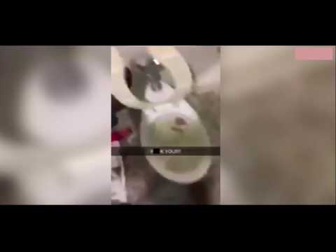 بالفيديو  رجل ينتقم من صديقته السابقة برمي حيوانها في الحمام