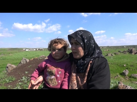 بالفيديو أهالي الحولة يأكلون الأعشاب بسبب حصار القوات الحكومية