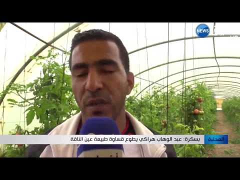 شاهد  عبد الوهاب هراكي يطوع قساوة طبيعة عين الناقة