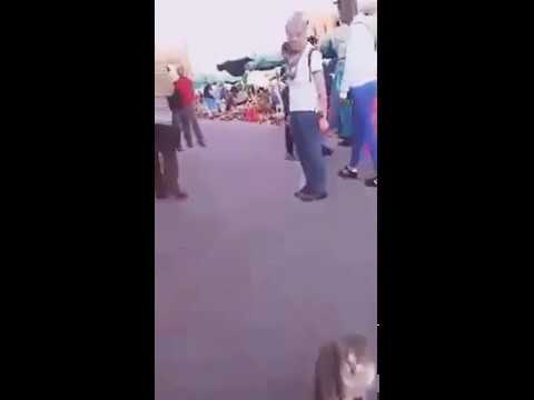 شاهد قِطّ يتسوَّل في مراكش