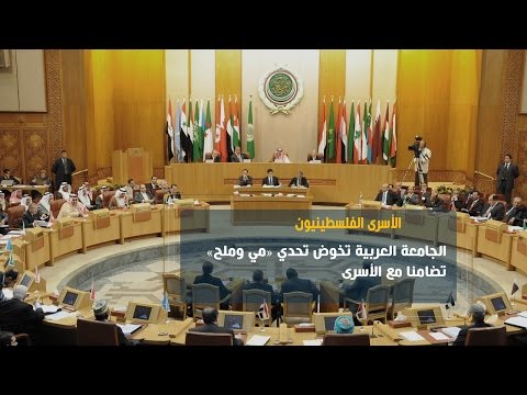 شاهد الجامعة العربية تخوض تحدي مي وملح