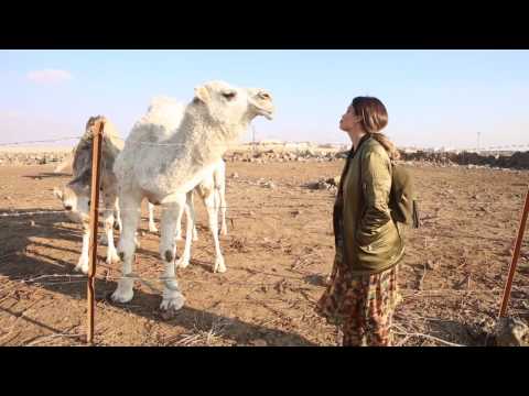 شاهد مغامرات شيقة لدومينيك حوراني في بادية الأردن