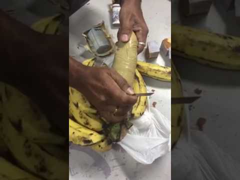 بالفيديو  خادمة تسرق أموال عائلة سعودية داخل الموز