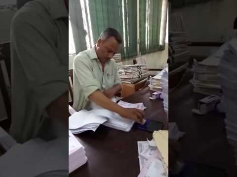 شاهد موظف هندي يختم مجموعة من الأوراق في ثوان