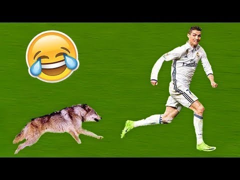 شاهد أغرب اللقطات التي سجّلت في كرة القدم