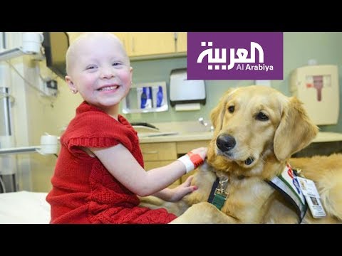 تقنية رائدة لعلاج مرض اللوكيميا المنتشر بكثافة بين الأطفال