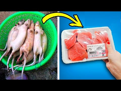 شاهد 10 أطعمة لن تأكلها مرة أخرى