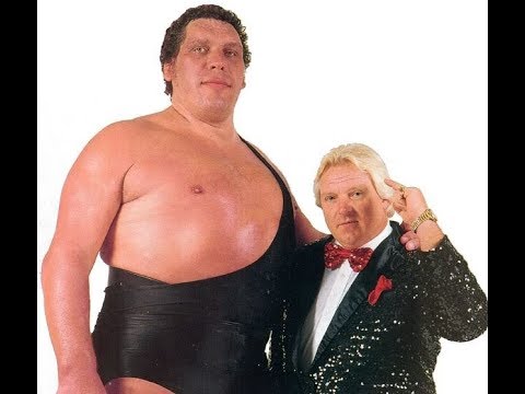 شاهد وفاة أسطورة المصارعة عالميًا بول هينان