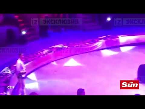 كسر رقبة لاعب غمباز خلال استعراض لتحقيق رقم قياسي