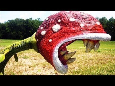 أخطر نبتة في العالم