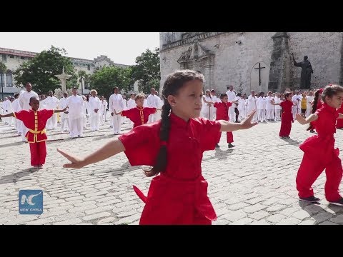 شاهد مدرسة ووتش كيغونغ تحتفل بمرور 22 عامًا على إنشائها
