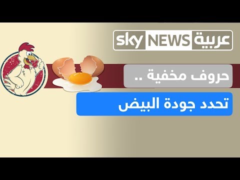 شاهد تصنيف خفي لجودة البيض