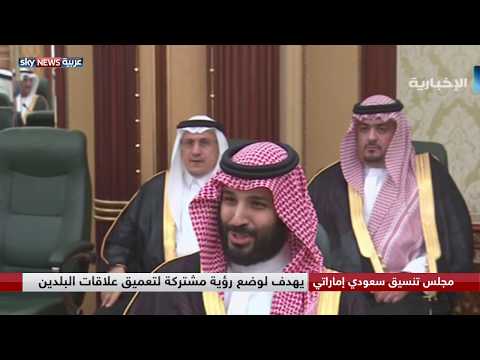 مجلس تنسيق سعودي إماراتي يهدف لوضع رؤية مشتركة