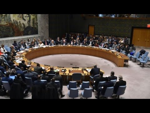 شاهددول جديدة أعضاء غير دائمين في مجلس الأمن