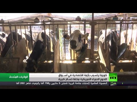 شاهد أطباء إيطاليون إلى البوسنة والهرسك لمكافحة كورونا