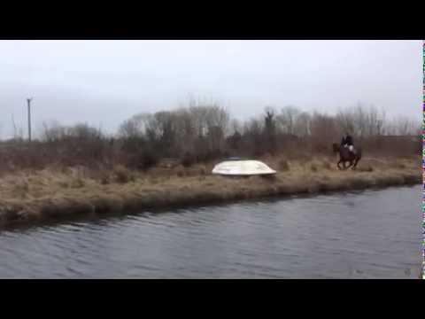 بالفيديو حصان يرفض عبور القارب فيرمى نفسه في النهر