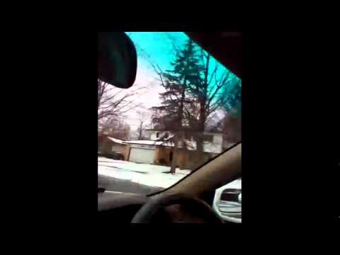 فيديو دُب يقتل مزارعًا على مرأى من الناظرين