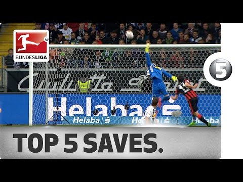 شاهد أجمل 5 تصديات في الجولة الـ29 من الدوري الألماني