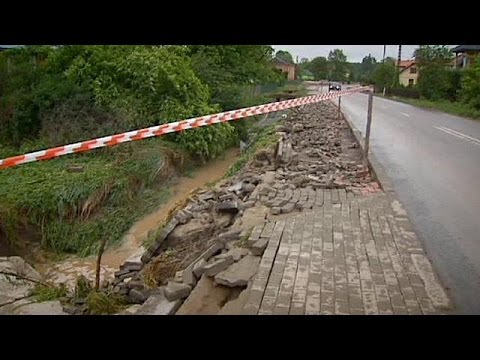 بالفيديو أمطار تقضي على موسم الفرولة في بولندا