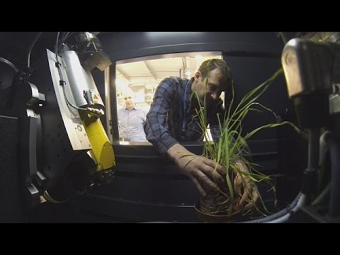بالفيديو روبوت يساعد النبات على الامتصاص بكفاءة أكثر للغذاء والماء