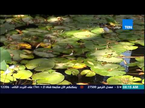 شاهد الأورمان في مصر من أكبر الحدائق في العالم