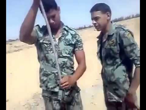 بالفيديو رجال الصاعقة المصرية يعدون فخر المؤسسة العسكرية