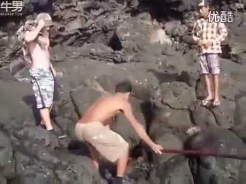 بالفيديو شاب يصطاد سمكة ضخمة