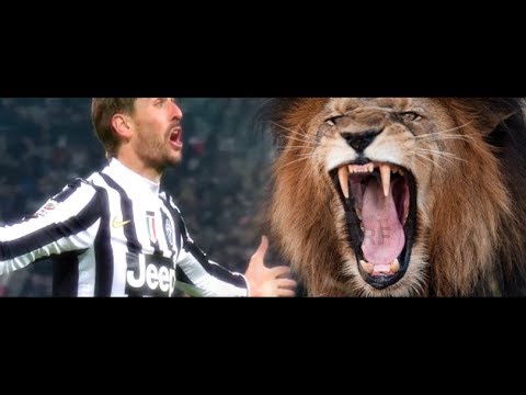 يوفينتوس يشترط الحصول على 11 مليون استرلينى لبيع يورنتى